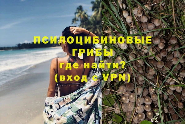 a pvp Касимов