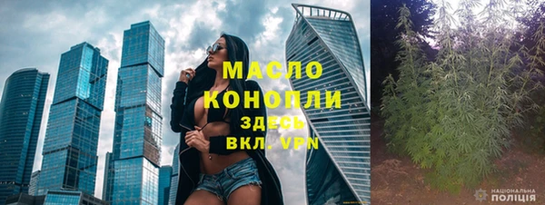 эйфоретик Каменка