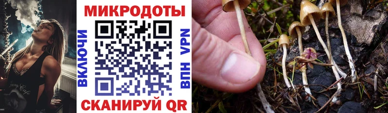 Купить где  Джанкой  Галлюциногенные грибы Cubensis 